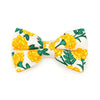 Bow Tie Cat Collar Set - "Marigold Morning" - Rifle Paper Co® Yellow Cat Collar w/ Matching Bowtie / Spring, Summer, Easter, Wedding / Cat, Kitten, Small Dog Sizes