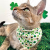Pet Bandana - "Leprechaun's Gold" - St. Patrick's Day Bandana for Cat + Small Dog / Irish, Pot of Gold / Slide-on Bandana / Over-the-Collar (One Size)