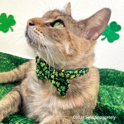 Pet Bow Tie - "Lucky Charmer" - St. Patrick's Day Cat Bow Tie / Irish, Shamrocks / For Cats + Small Dogs (One Size)