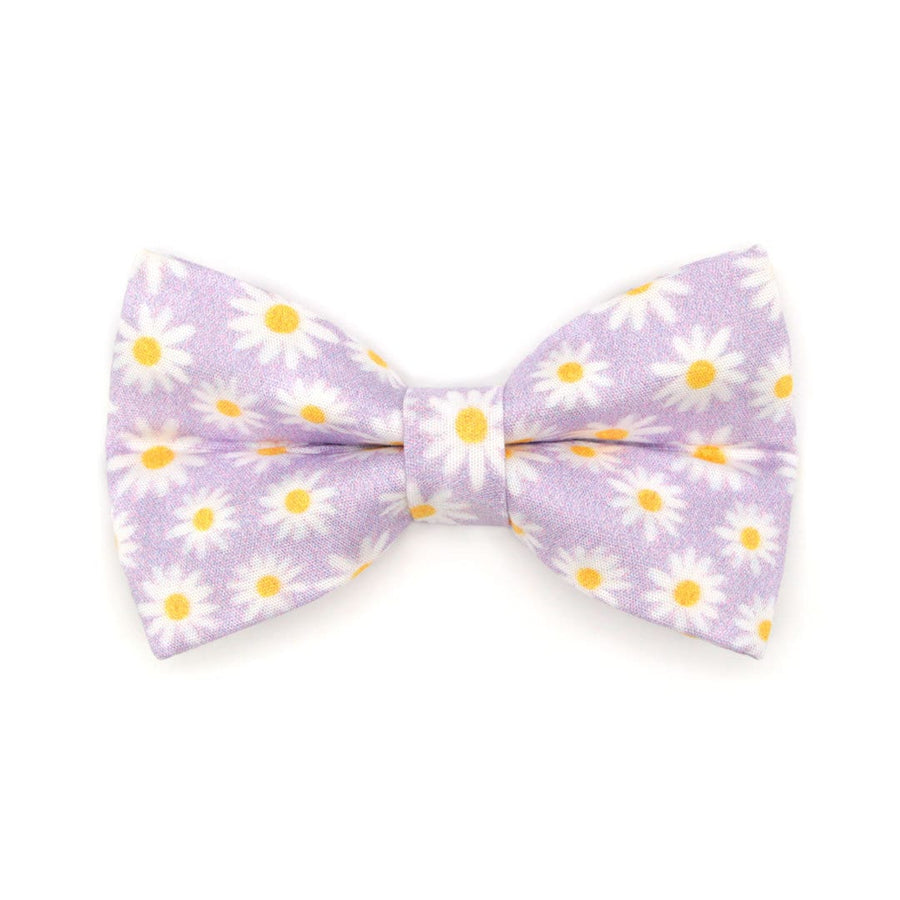 Pet Bow Tie - "Daisies - Purple" - Floral Daisy Cat Bow / Spring, Summer, Easter, Wedding / For Cats + Small Dogs (One Size)