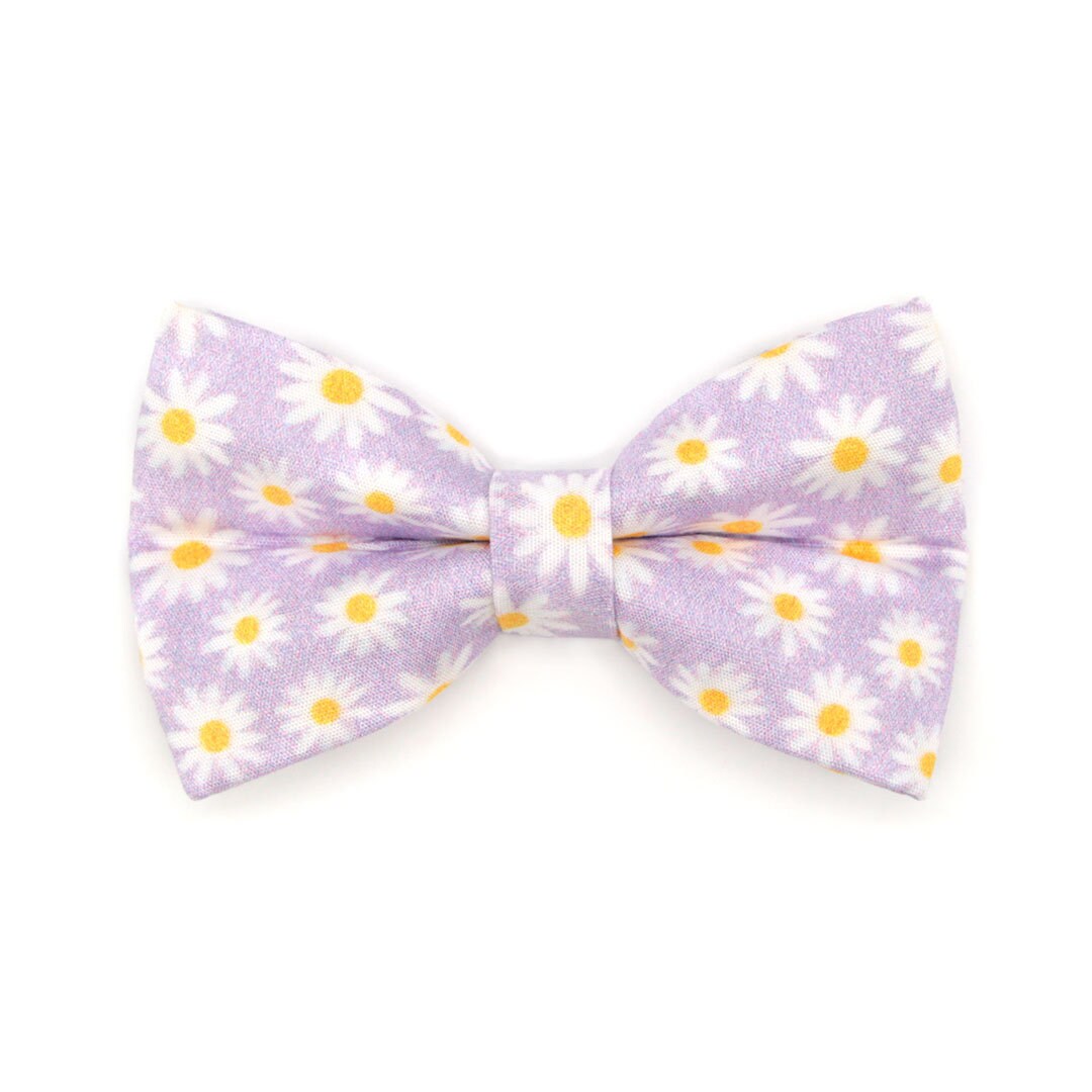 Bow Tie Cat Collar Set - "Daisies - Purple" - Floral Daisy Cat Collar w/ Matching Bowtie / Spring, Summer, Easter, Wedding / Cat, Kitten, Small Dog Sizes