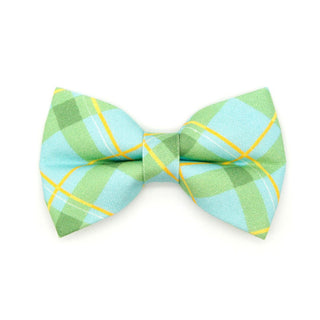 Pet Bow Tie - "Carmel" - Mint Green Plaid Cat Bow Tie / Spring, Summer, Easter, Wedding / For Cats + Small Dogs (One Size)