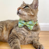 Pet Bandana - "Carmel" - Mint Green Plaid Bandana for Cat + Small Dog / Spring, Summer, Easter / Slide-on Bandana / Over-the-Collar (One Size)
