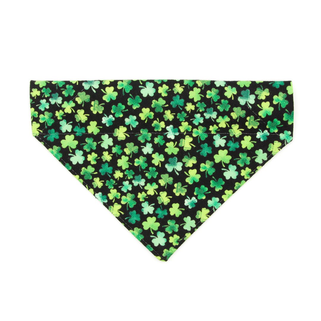Pet Bandana - "Lucky Charmer" - St. Patrick's Day Bandana for Cat + Small Dog / Irish, Shamrock / Slide-on Bandana / Over-the-Collar (One Size)