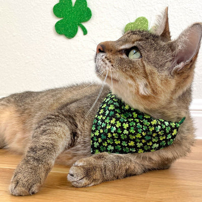 Pet Bandana - "Lucky Charmer" - St. Patrick's Day Bandana for Cat + Small Dog / Irish, Shamrock / Slide-on Bandana / Over-the-Collar (One Size)
