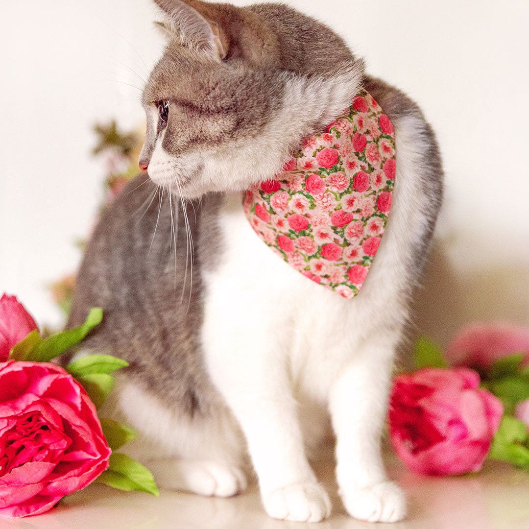 Cat Collar - "Pretty in Peony - Pink" - Peonies Cat Collar / Spring Floral / Breakaway Buckle or Non-Breakaway / Cat, Kitten + Small Dog Sizes