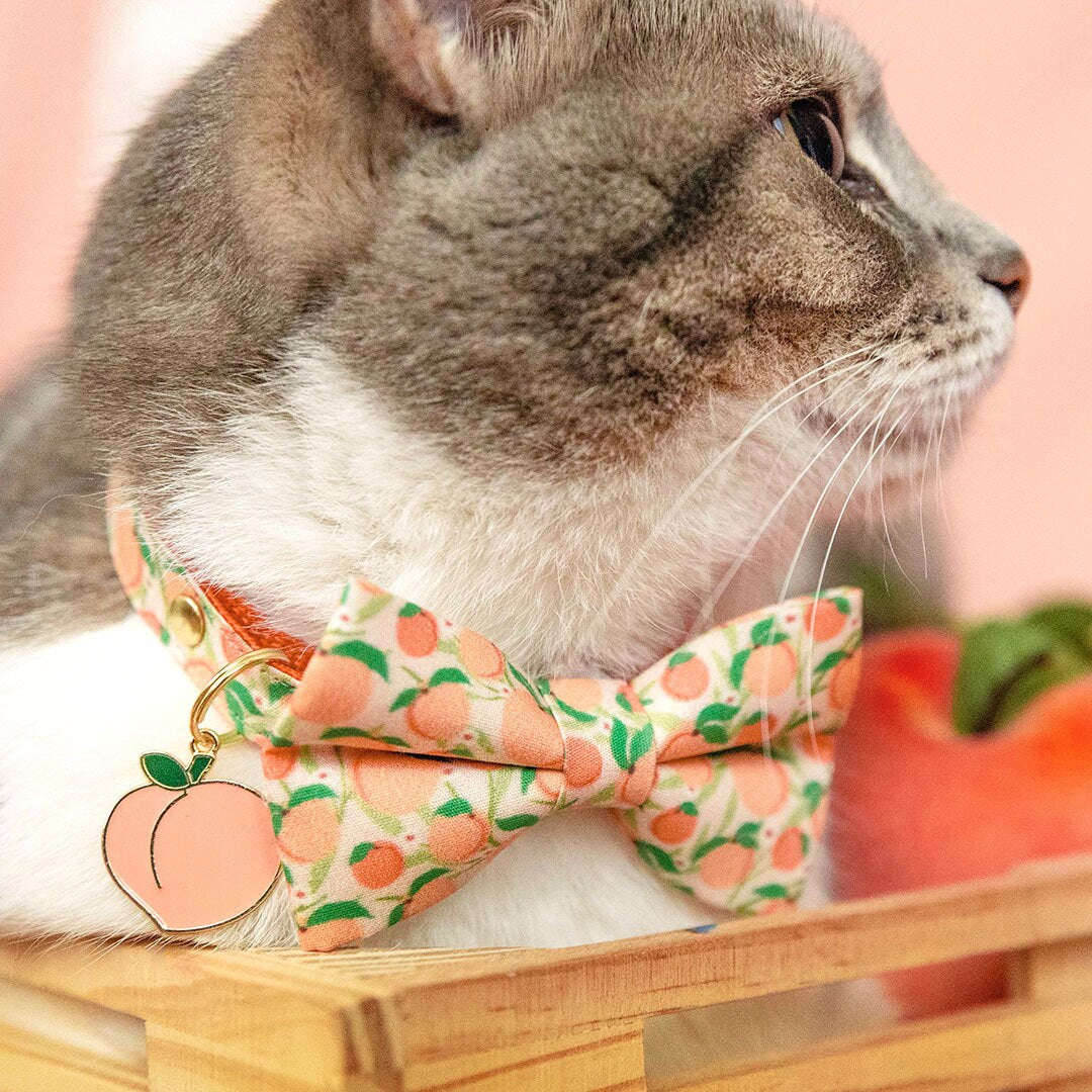 Cat Collar - "Just Peachy" - Peaches Cat Collar / Summer Fruit / Breakaway Buckle or Non-Breakaway / Cat, Kitten + Small Dog Sizes