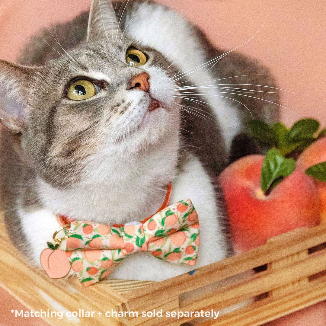 Pet Bow Tie - "Just Peachy" - Peach Cat Bow Tie / Spring + Summer / For Cats + Small Dogs (One Size)