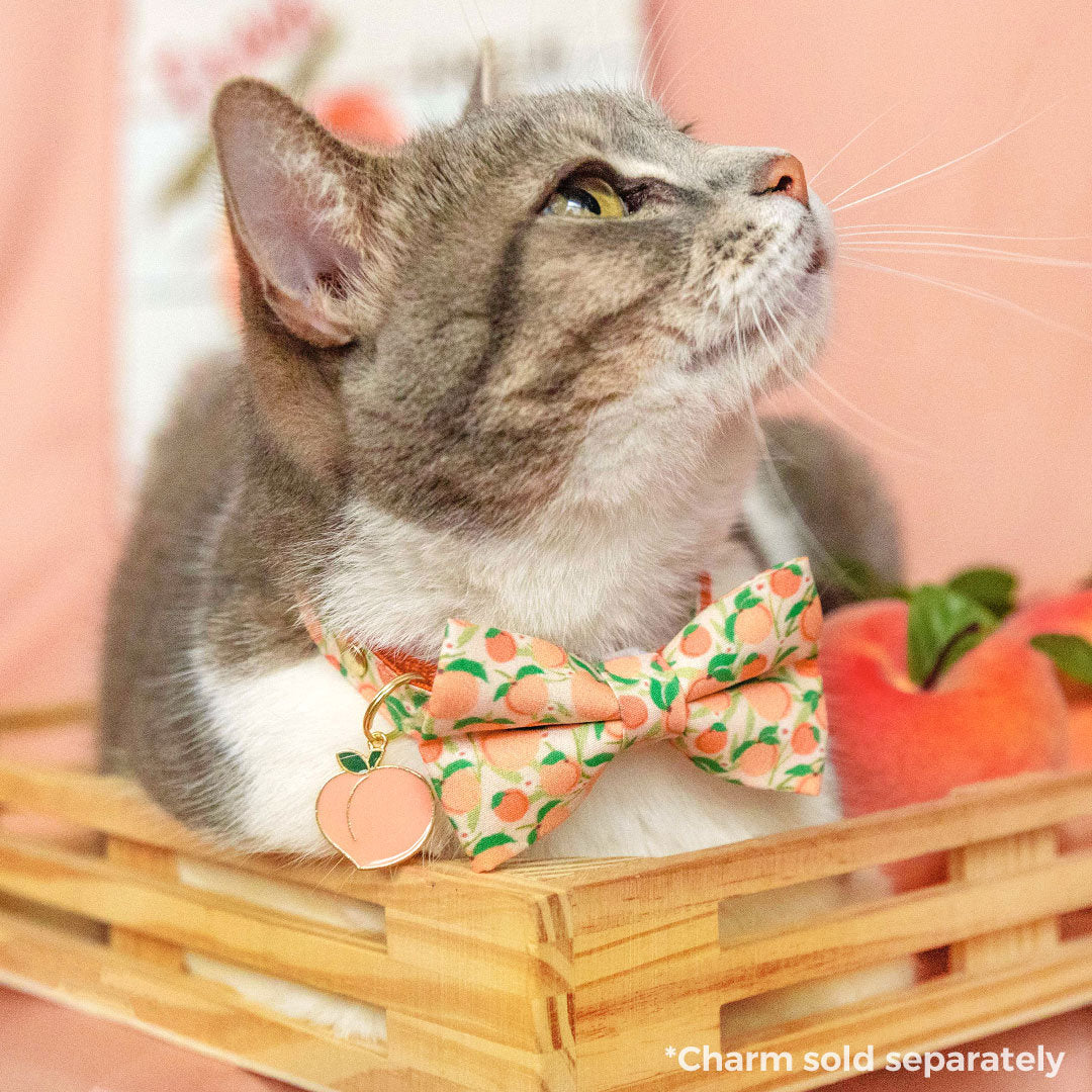 Bow Tie Cat Collar Set - "Just Peachy" - Peach Cat Collar w/ Matching Bowtie / Peaches, Fruit, Spring, Summer / Cat, Kitten, Small Dog Sizes