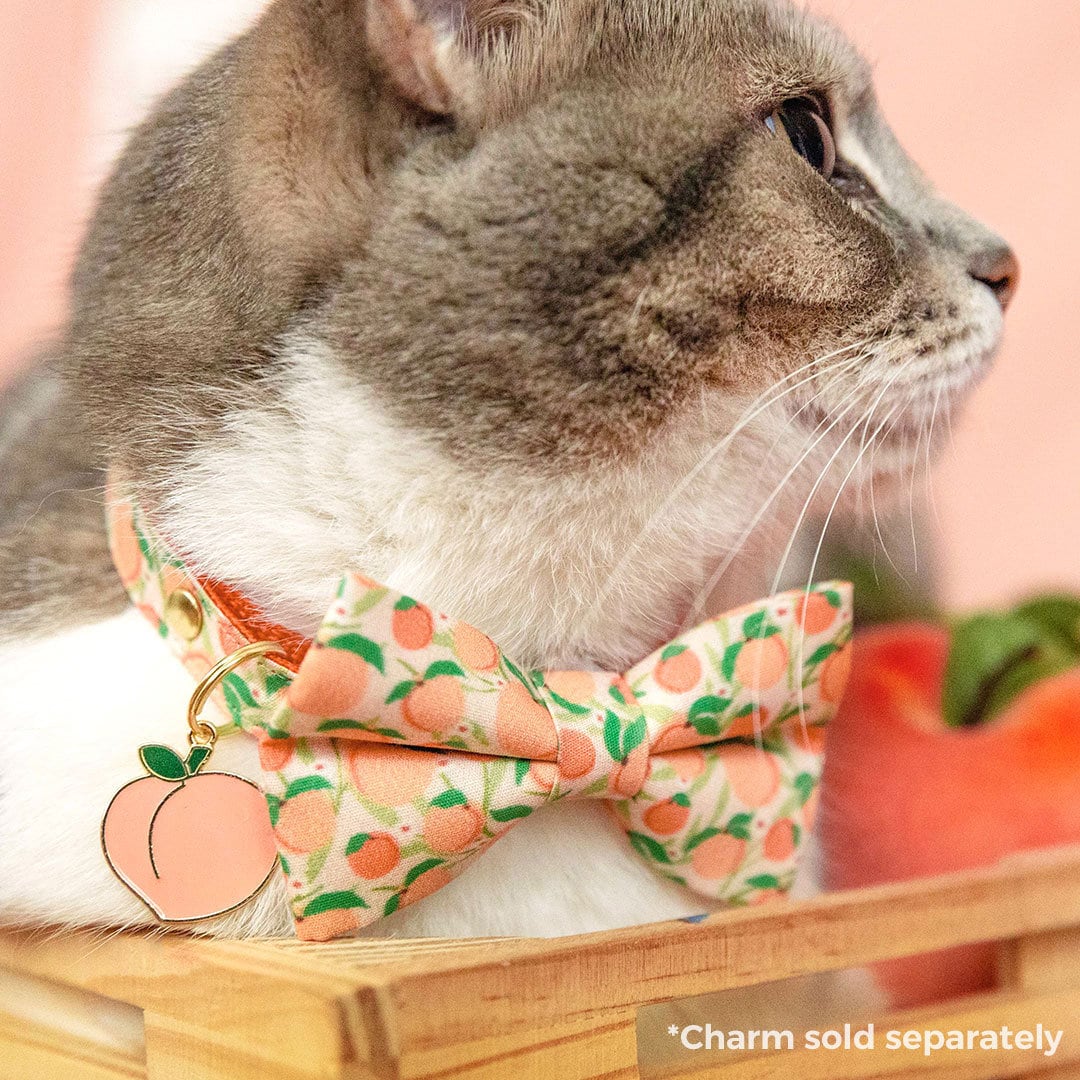 Bow Tie Cat Collar Set - "Just Peachy" - Peach Cat Collar w/ Matching Bowtie / Peaches, Fruit, Spring, Summer / Cat, Kitten, Small Dog Sizes
