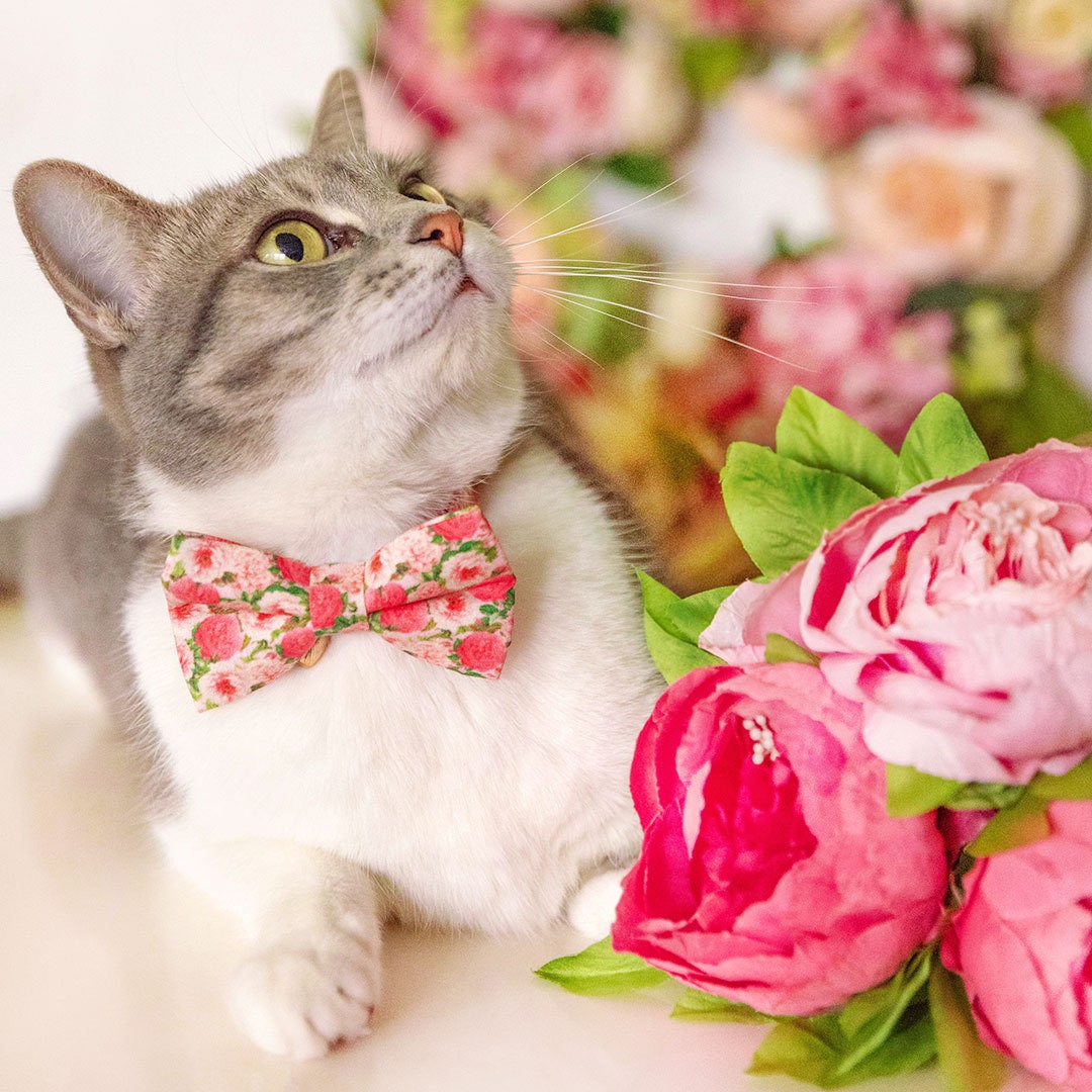 Bow Tie Cat Collar Set - "Pretty in Peony - Pink" - Peonies Cat Collar w/ Matching Bow / Floral, Spring, Summer, Wedding / Cat, Kitten, Small Dog Sizes