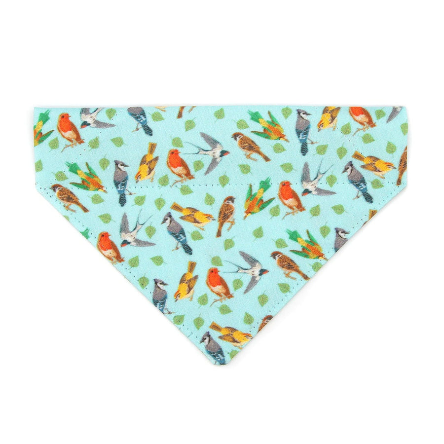 Pet Bandana - "Birds of a Feather" - Robin's Egg Blue Bird Bandana for Cat + Small Dog / Nature Lover, Audubon, Sibley / Slide-on Bandana / Over-the-Collar (One Size)
