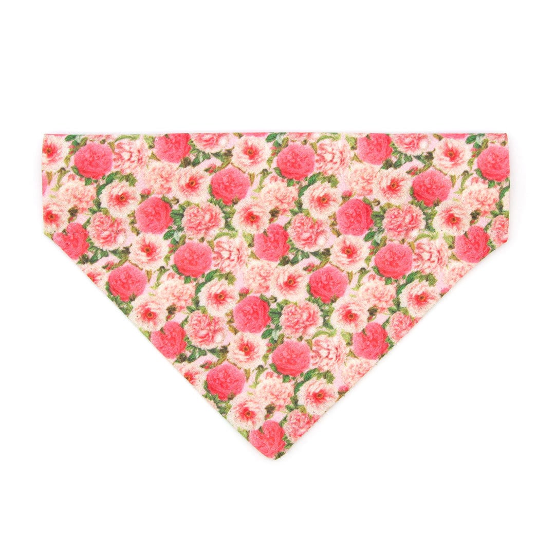 Pet Bandana - "Pretty in Peony - Pink" - Peonies Bandana for Cat + Small Dog / Slide-on Bandana / Over-the-Collar (One Size)
