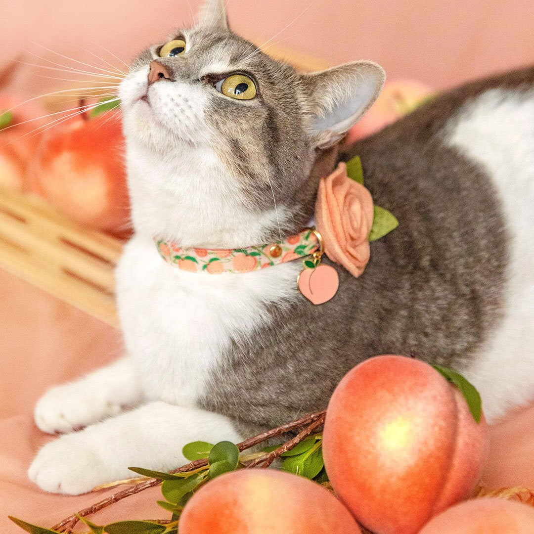 Cat Collar - "Just Peachy" - Peaches Cat Collar / Summer Fruit / Breakaway Buckle or Non-Breakaway / Cat, Kitten + Small Dog Sizes