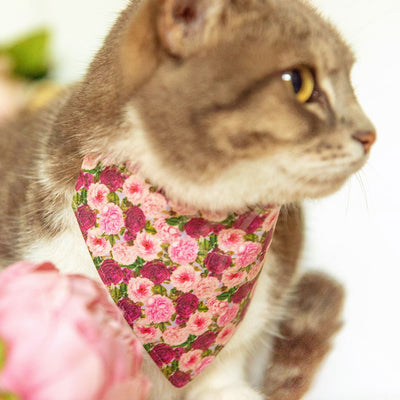 Cat Collar - "Pretty in Peony - Purple" - Peonies Cat Collar / Spring, Summer, Fall Floral / Breakaway Buckle or Non-Breakaway / Cat, Kitten + Small Dog Sizes
