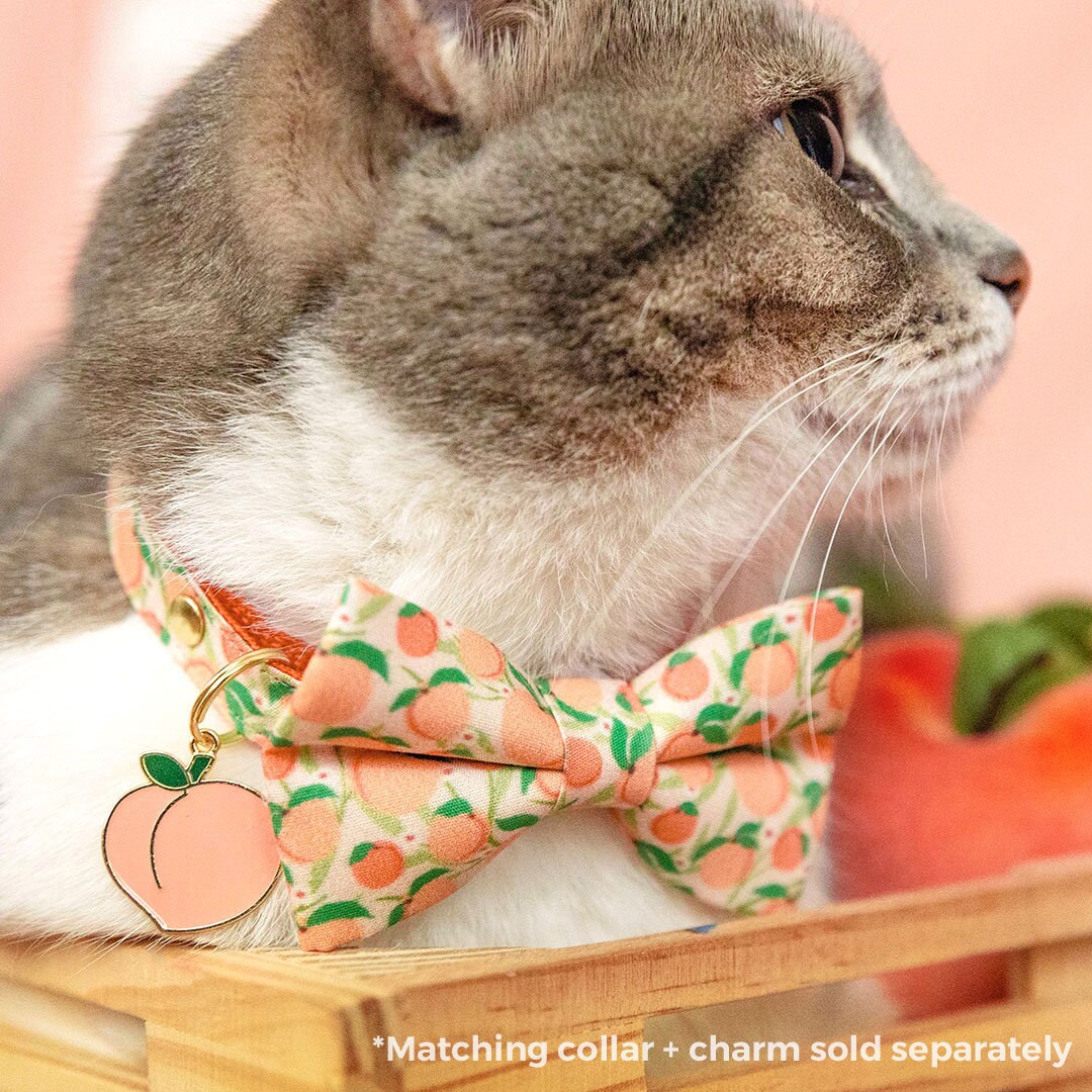 Pet Bow Tie - "Just Peachy" - Peach Cat Bow Tie / Spring + Summer / For Cats + Small Dogs (One Size)