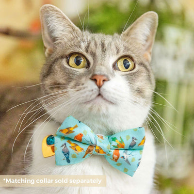 Pet Bow Tie - "Birds of a Feather" - Robin's Egg Blue Bird Cat Bow Tie / Nature, Bird Lover, Audubon, Sibley / For Cats + Small Dogs (One Size)