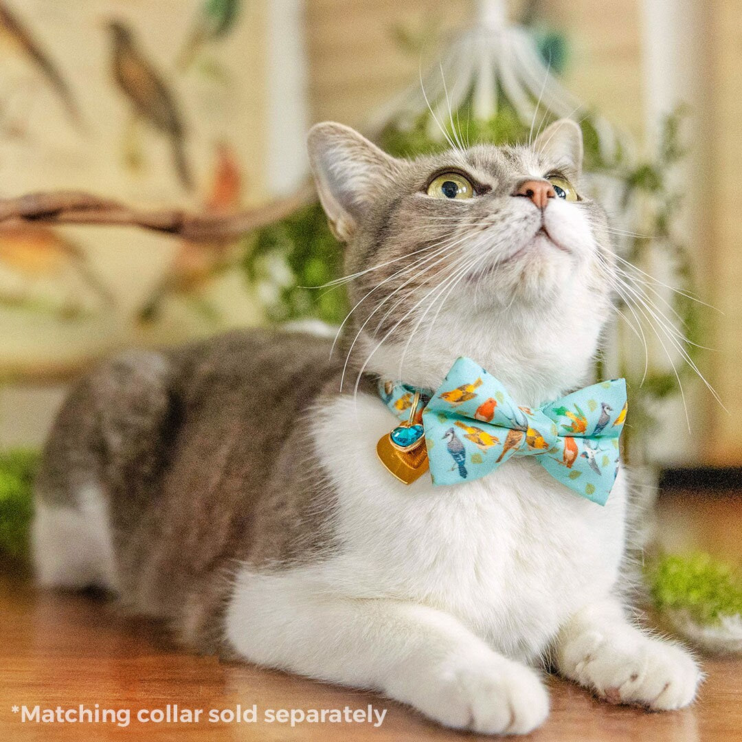Pet Bow Tie - Birds of a Feather - Robin's Egg Blue Bird Cat Bow Tie -  Made By Cleo