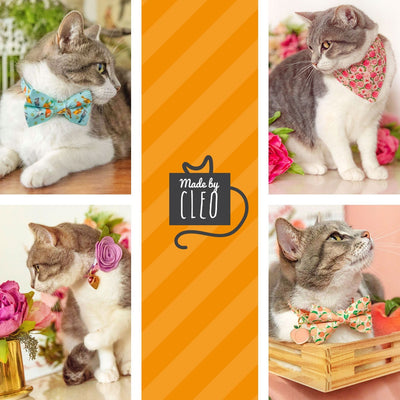Cat Collar + Flower Set - "Going Bananas - Green" - Tropical Banana Cat Collar w/ Mint Felt Flower (Detachable)