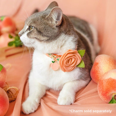 Cat Collar + Flower Set - "Just Peachy" - Peach Fruit Cat Collar w/ Peach Felt Flower (Detachable)