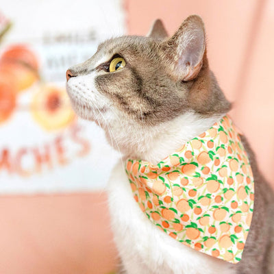 Pet Bandana - "Just Peachy" - Peach Bandana for Cat + Small Dog / Peaches Slide-on Bandana / Over-the-Collar (One Size)