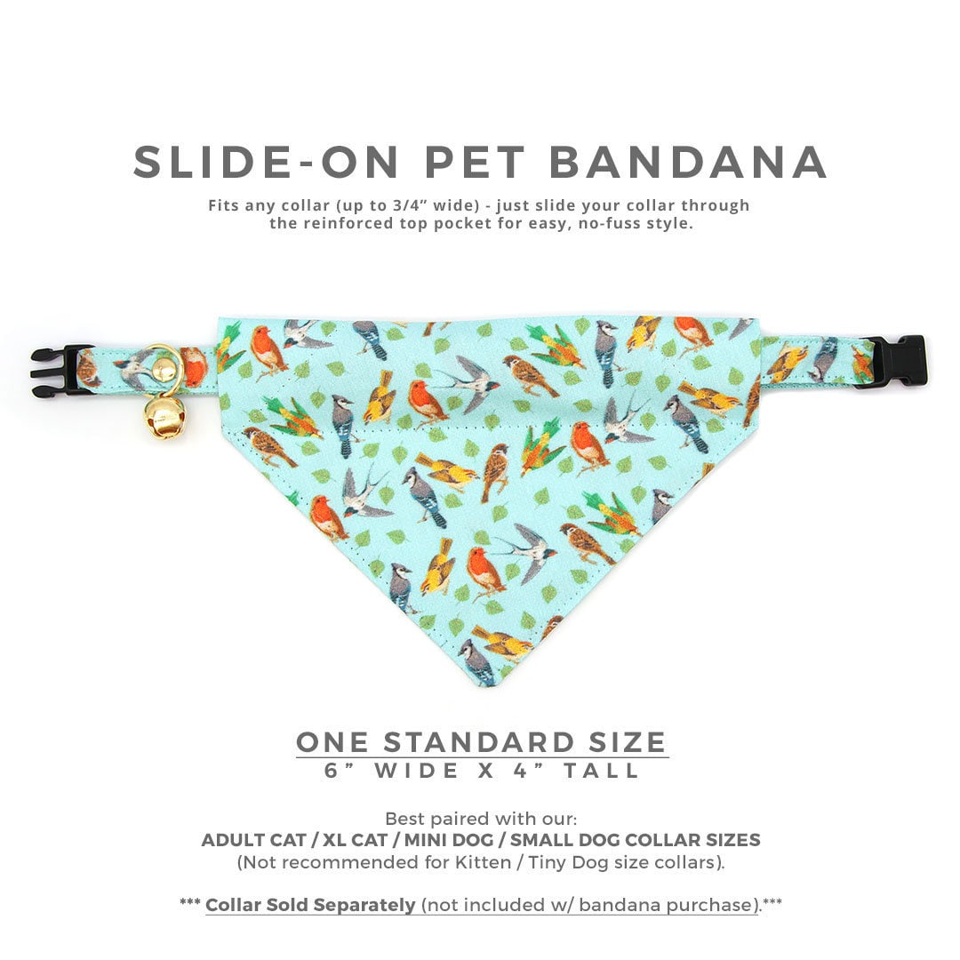 Pet Bandana - "Birds of a Feather" - Robin's Egg Blue Bird Bandana for Cat + Small Dog / Nature Lover, Audubon, Sibley / Slide-on Bandana / Over-the-Collar (One Size)