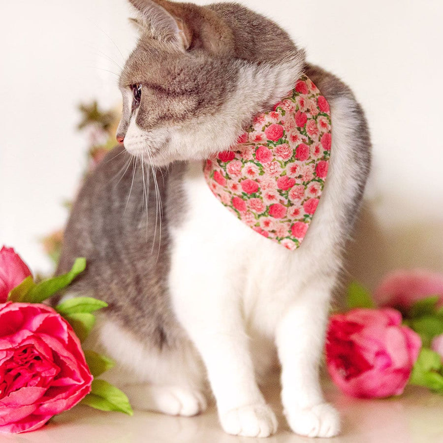 Pet Bandana - "Pretty in Peony - Pink" - Peonies Bandana for Cat + Small Dog / Slide-on Bandana / Over-the-Collar (One Size)