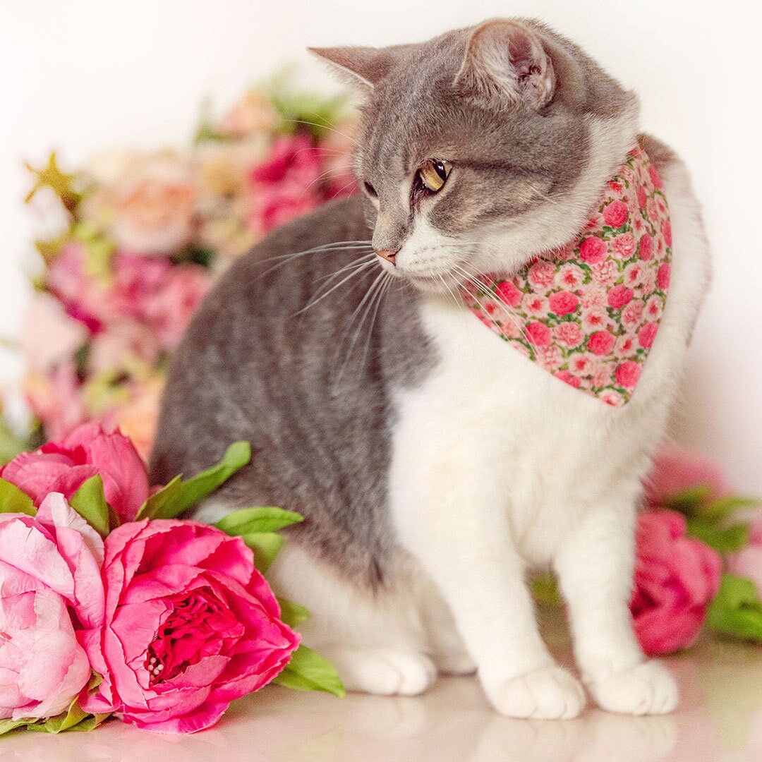 Pet Bandana - "Pretty in Peony - Pink" - Peonies Bandana for Cat + Small Dog / Slide-on Bandana / Over-the-Collar (One Size)