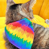 Pet Bandana - "Celebration" - Ombre Rainbow Bandana for Cat + Small Dog / LGBTQ+ Pride, Birthday, Summer, Fiesta / Slide-on Bandana / Over-the-Collar (One Size)