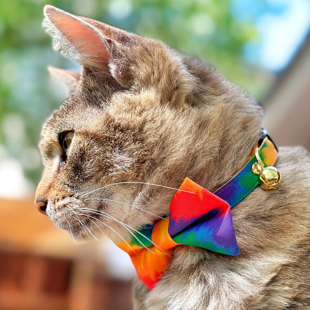 Cat Collar - "Celebration" - Ombre Rainbow Cat Collar / Birthday, LGBTQ Pride / Breakaway or Non-Breakaway / Cat, Kitten + Small Dog Sizes