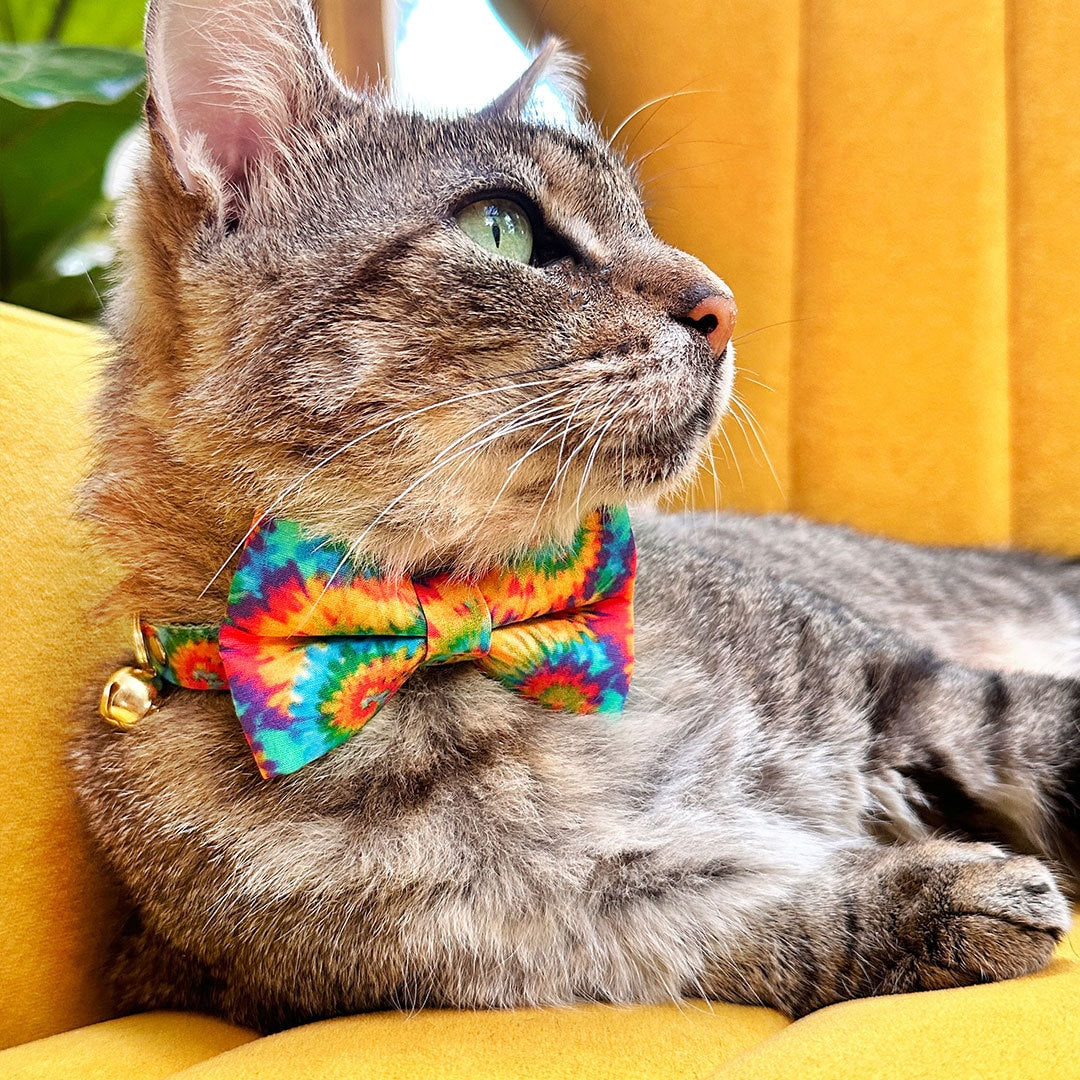 Cat Bowtie Collar Pet Supplies Pack Breakaway Cat Collars With