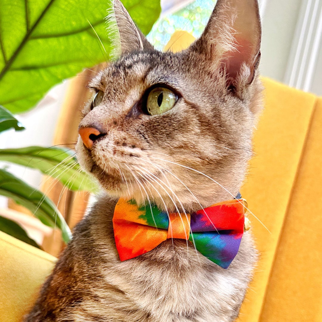 Bow Tie Cat Collar Set - "Celebration" - Ombre Rainbow Cat Collar w/ Matching Bowtie / Summer, LGBTQ+ Pride, Birthday, Fiesta / Cat, Kitten, Small Dog Sizes