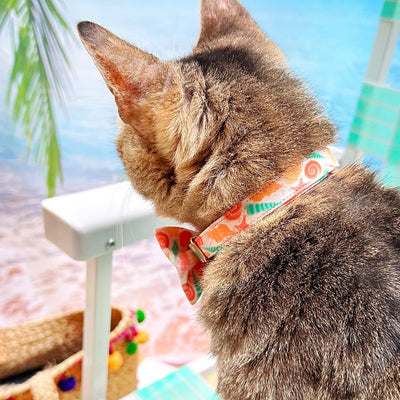 Bow Tie Cat Collar Set - "Seashell Beach" - Peach, Aqua & Coral Pink Shell Cat Collar w/ Matching Bowtie / Cat, Kitten, Small Dog Sizes