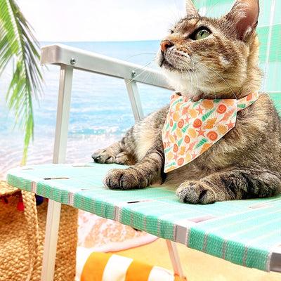 Cat Collar - "Seashell Beach" - Peach, Aqua & Coral Pink Shell Cat Collar / Summer, Ocean / Breakaway Buckle or Non-Breakaway / Cat, Kitten + Small Dog Sizes