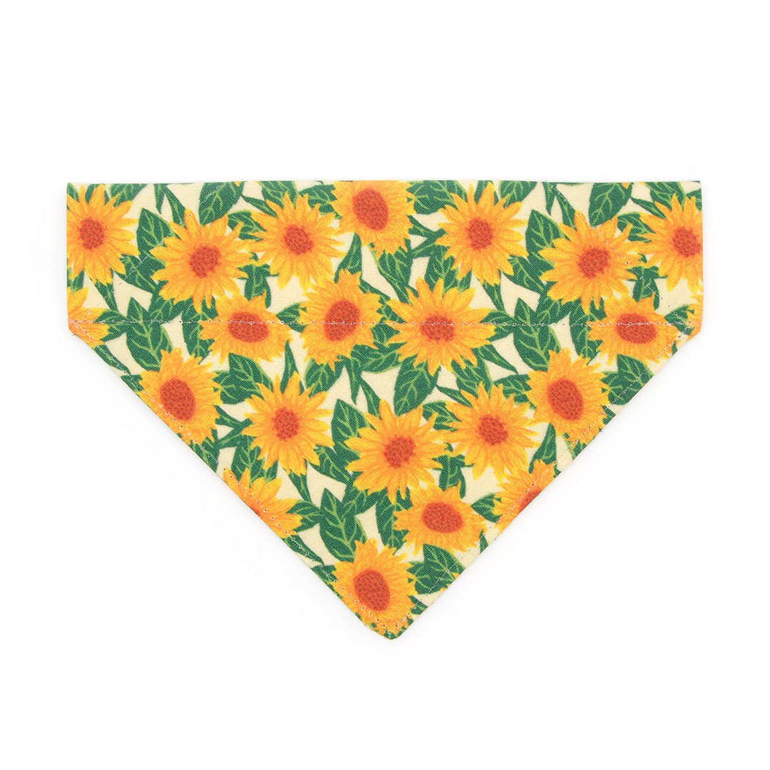 Pet Bandana - "Sunflowers" - Yellow Floral Bandana for Cat + Small Dog / Slide-on Bandana / Over-the-Collar (One Size)