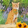 Pet Bandana - "Sunflowers" - Yellow Floral Bandana for Cat + Small Dog / Slide-on Bandana / Over-the-Collar (One Size)