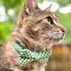 Cat Collar - "Seagrass" - Gingham Green Plaid Cat Collar / Spring, Summer, Wedding / Breakaway Buckle or Non-Breakaway / Cat, Kitten + Small Dog Sizes