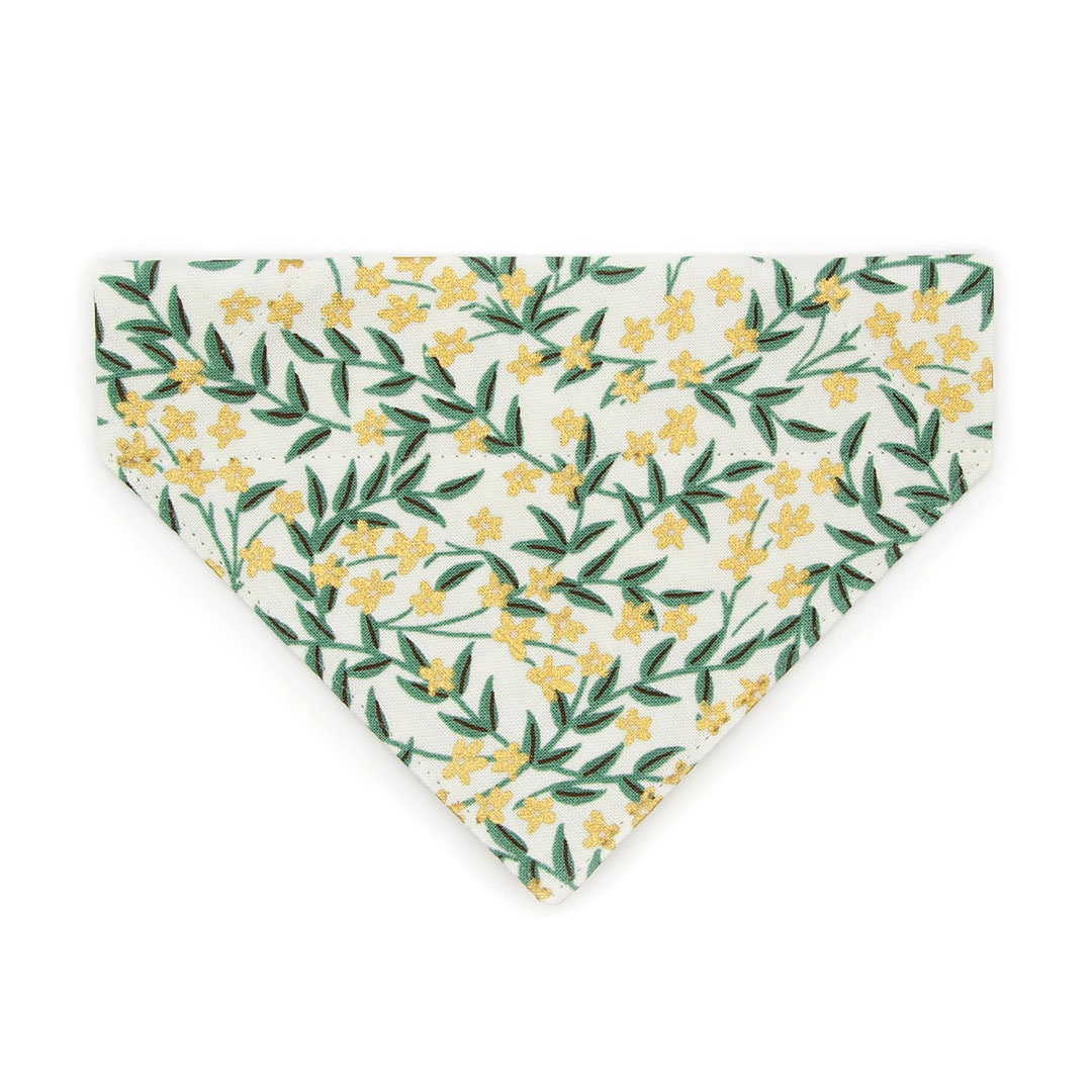Pet Bandana - "Golden Vine" - Rifle Paper Co® Green Leaf Bandana for Cat + Small Dog / Slide-on Bandana / Over-the-Collar (One Size)