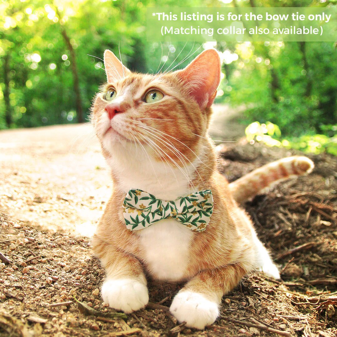 Pet Bow Tie - "Golden Vine" - Rifle Paper Co® Green Leaf Cat Bow / Summer, Fall, Forest, Garden / For Cats + Small Dogs (One Size)