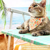 Pet Bandana - "Seashell Beach" - Peach, Aqua & Coral Pink Shell Bandana for Cat + Small Dog / Slide-on Bandana / Over-the-Collar (One Size)