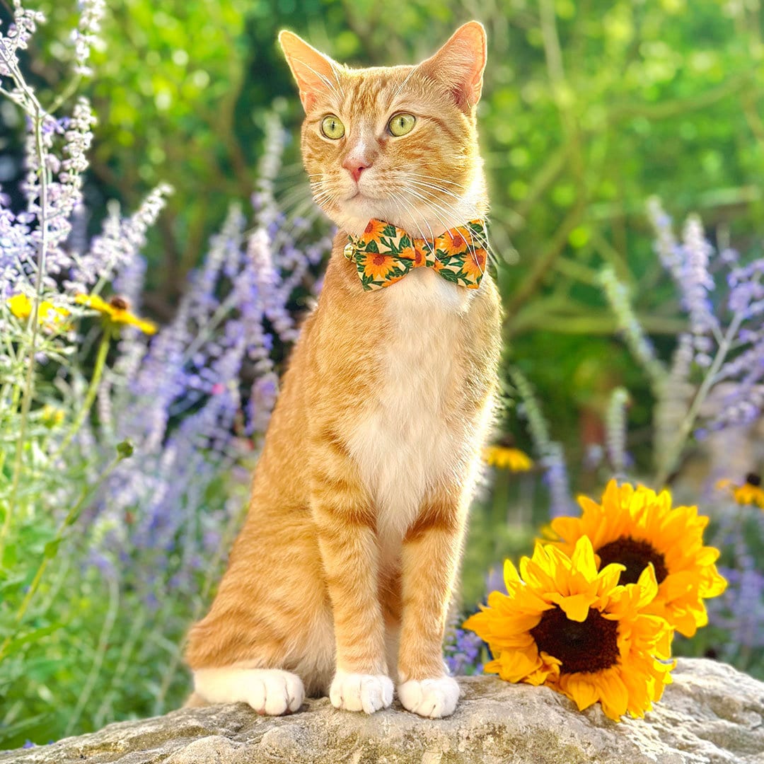 Pet Bow Tie - "Sunflowers" - Yellow Floral Cat Bow / Summer, Fall, Wedding / For Cats + Small Dogs (One Size)