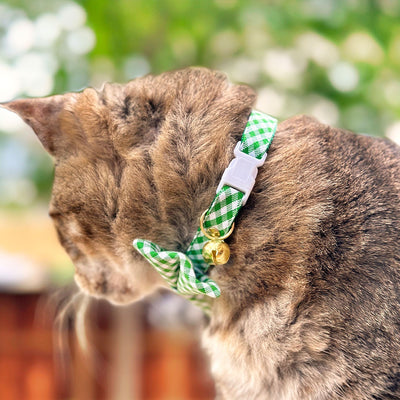 Cat Collar + Flower Set - "Seagrass" - Gingham Green Plaid Cat Collar w/ Ivory Felt Flower (Detachable)