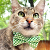 Bow Tie Cat Collar Set - "Seagrass" - Gingham Green Plaid Cat Collar w/ Matching Bowtie / Spring, Summer, Wedding / Cat, Kitten, Small Dog Sizes