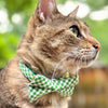 Pet Bandana - "Seagrass" - Gingham Green Plaid Bandana for Cat + Small Dog / Slide-on Bandana / Over-the-Collar (One Size)