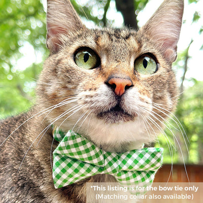 Pet Bow Tie - "Seagrass" - Gingham Green Plaid Cat Bow / Spring, Summer, Wedding / For Cats + Small Dogs (One Size)