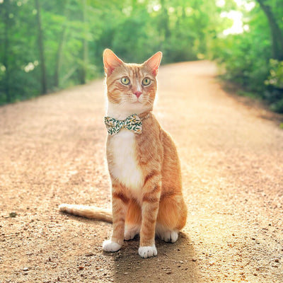 Bow Tie Cat Collar Set - "Golden Vine" - Rifle Paper Co® Green Leaf Cat Collar w/ Matching Bowtie / Cat, Kitten, Small Dog Sizes