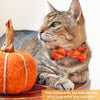 Pet Bow Tie - "Cinnamon" - Orange, Red & Gold Fall Plaid Cat Bow / Thanksgiving / For Cats + Small Dogs (One Size)