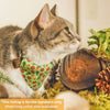 Pet Bandana - "Woodland - Moss" - Pine Cones, Leaves & Acorns Forest Green Bandana for Cat + Small Dog / Slide-on Bandana / Over-the-Collar (One Size)