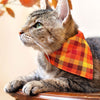 Cat Collar - "Cinnamon" - Orange, Red & Gold Fall Plaid Cat Collar / Autumn + Thanksgiving / Breakaway Buckle or Non-Breakaway / Cat, Kitten + Small Dog Sizes