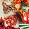 Cat Collar - "Pumpkin Patch - Cranberry" - Burgundy Fall Harvest Cat Collar / Thanksgiving / Breakaway Buckle or Non-Breakaway / Cat, Kitten + Small Dog Sizes